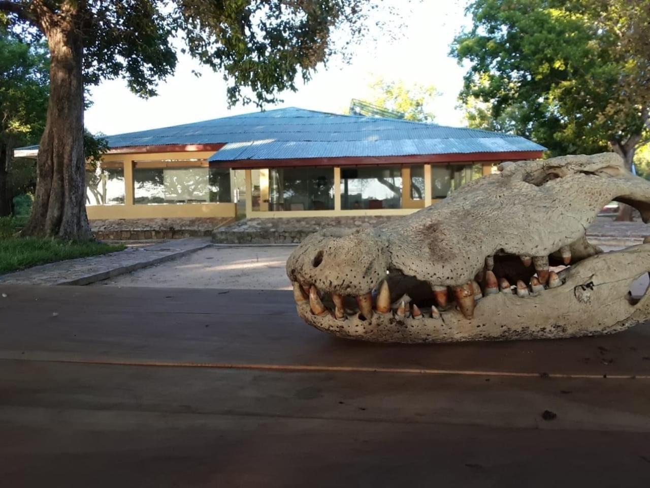 קטרגמה Crocodile Park Bungalow מראה חיצוני תמונה